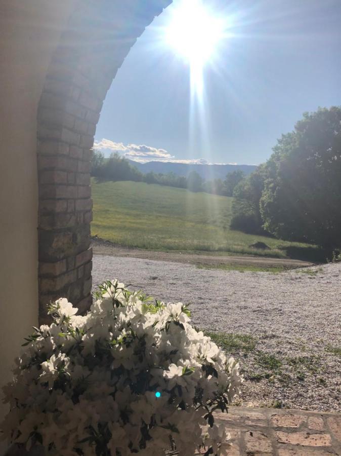 Podere Il Sasso Барберино-ди- Муджелло Экстерьер фото