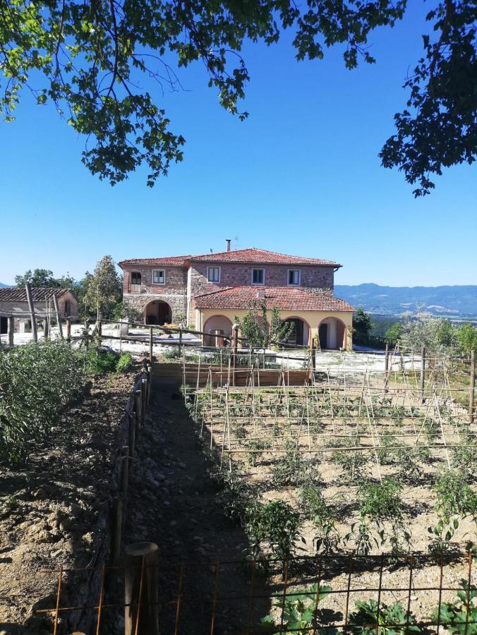 Podere Il Sasso Барберино-ди- Муджелло Экстерьер фото